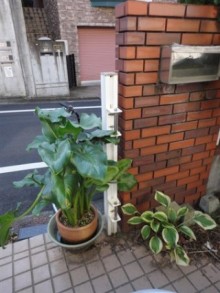 フェンスゲートと間仕切りブロック壁をフェンスへ取付 フェンスゲートと間仕切りブロック壁をフェンスへ取付